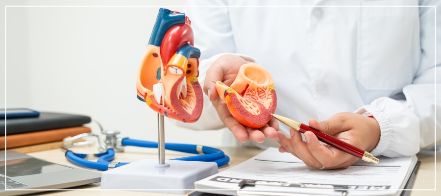 Board-Certified Dr. Kaushal Tamboli, MD, FACC, and the Team at Cardiovascular Medical Associates Offer Treatment for Heart Palpitations in Downey, CA